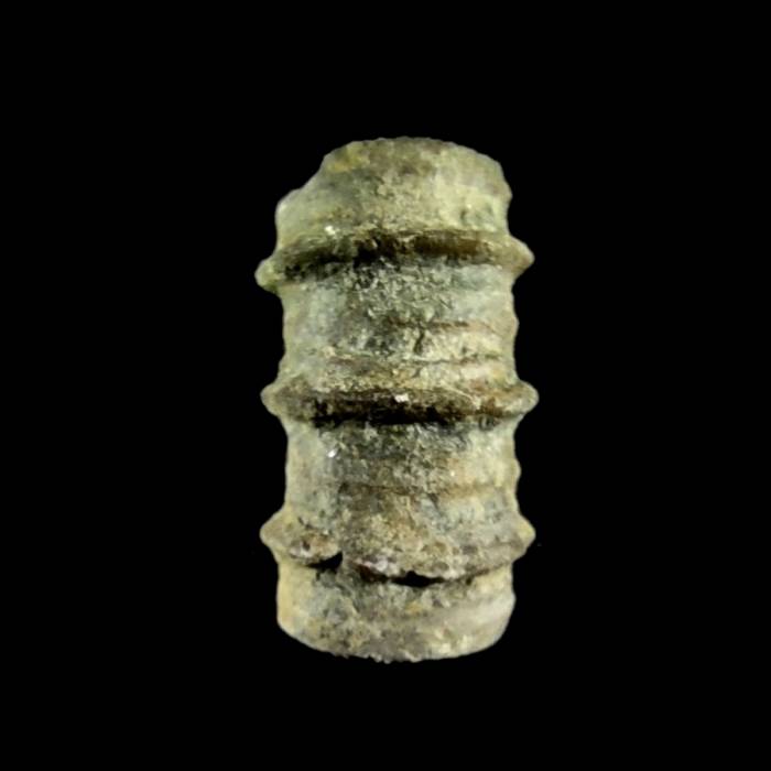 Liliowiec nieoznaczalny